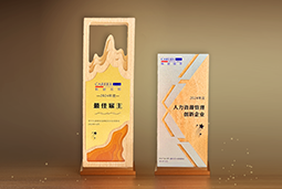 k8凯发国际国际一举斩获“2024年度中国区最佳雇主”等多项大奖