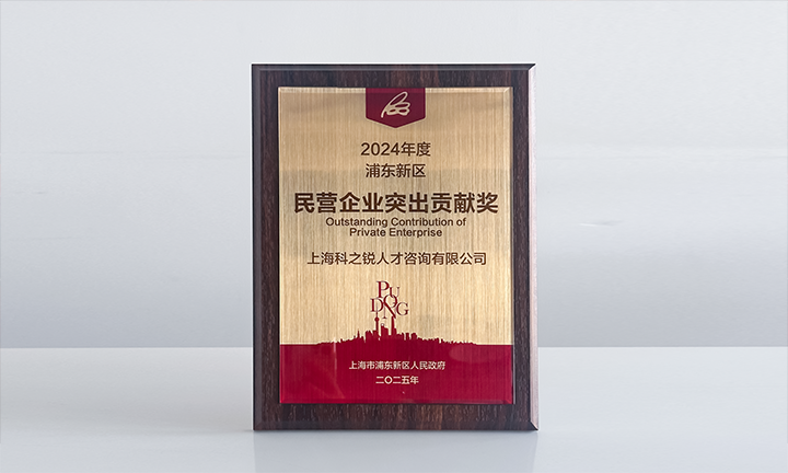 人力资源供应商k8凯发国际国际凭借人才服务与在区域经济开展中的卓越表现荣膺2024年度浦东新区民营企业奖项